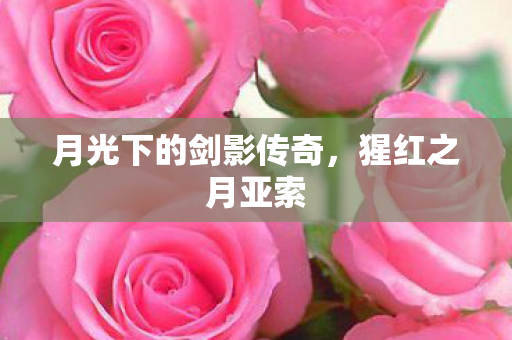 月光下的剑影传奇图片