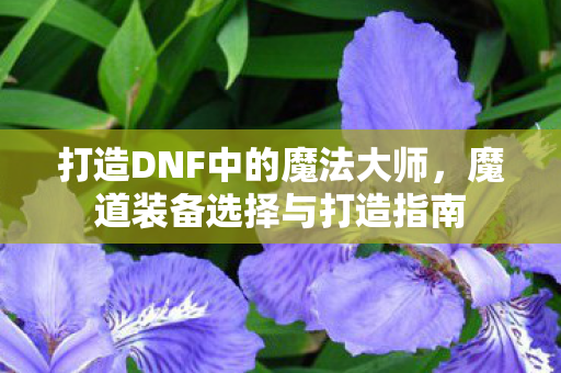打造DNF中的魔法大师图片