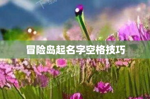 冒险岛起名字空格技巧图片