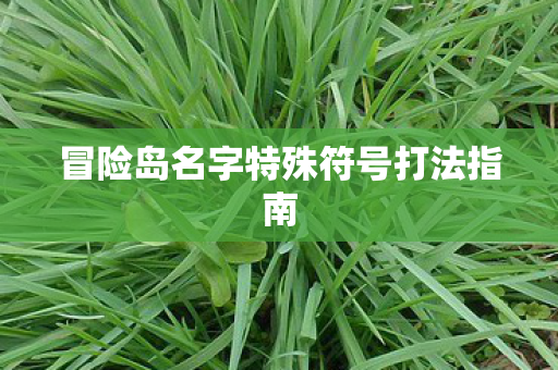 冒险岛名字特殊符号打法指南图片