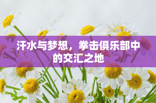拳击俱乐部中的交汇之地图片