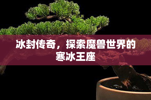 探索魔兽世界的寒冰王座图片