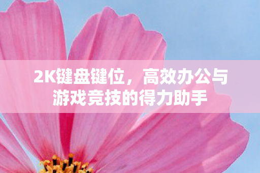 高效办公与游戏竞技的得力助手图片