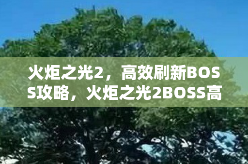 火炬之光2,高效刷新BOSS攻略,火炬之光2BOSS高效刷新攻略 火炬之光2,高效刷新BOSS攻略,火炬之光2BOSS高效刷新攻略