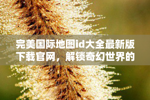 完美国际地图id大全最新版下载官网图片