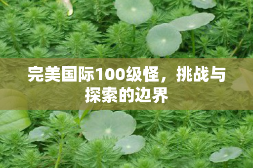 完美国际100级怪图片