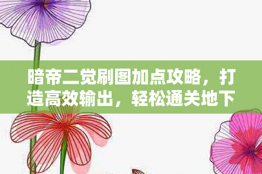 暗帝二觉刷图加点攻略图片