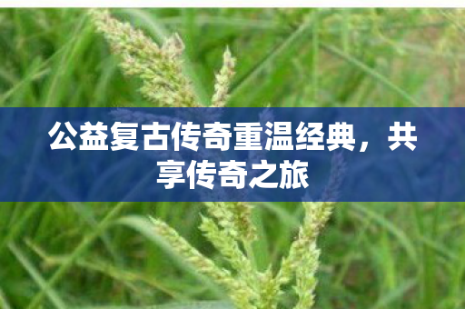公益复古传奇重温经典图片