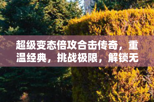 超级变态倍攻合击传奇图片