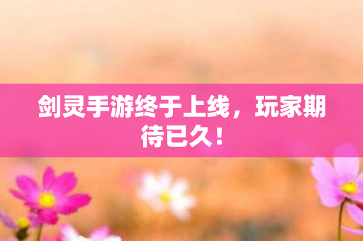 剑灵手游终于上线图片