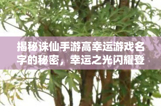 揭秘诛仙手游高幸运游戏名字的秘密图片