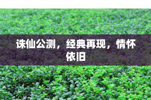 诛仙公测图片