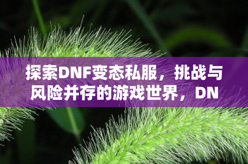 挑战与风险并存的游戏世界图片