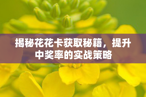 提升中奖率的实战策略图片