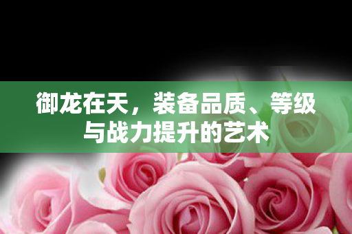 等级与战力提升的艺术图片