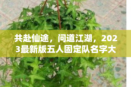 2023最新版五人固定队名字大全图片