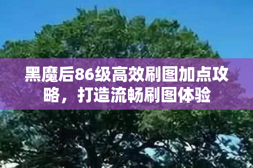 黑魔后86级高效刷图加点攻略图片