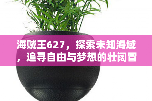 追寻自由与梦想的壮阔冒险图片