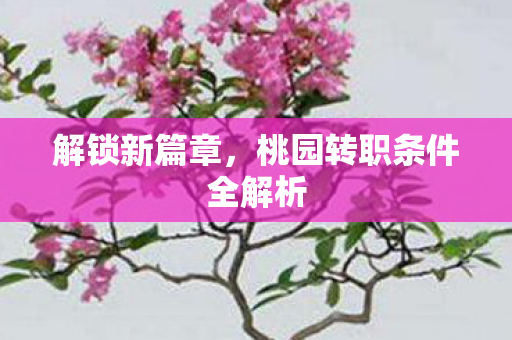 桃园转职条件全解析图片