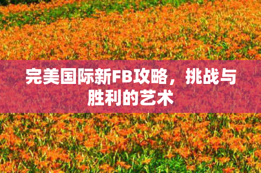 完美国际新FB攻略图片