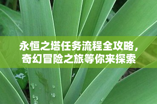 永恒之塔任务流程全攻略，奇幻冒险之旅等你来探索