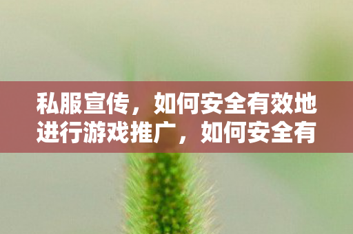 如何安全有效地进行私服游戏推广图片