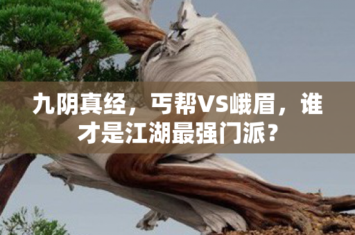 谁才是江湖最强门派图片