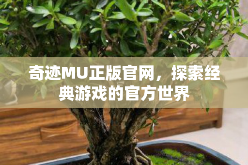 探索经典游戏的官方世界图片