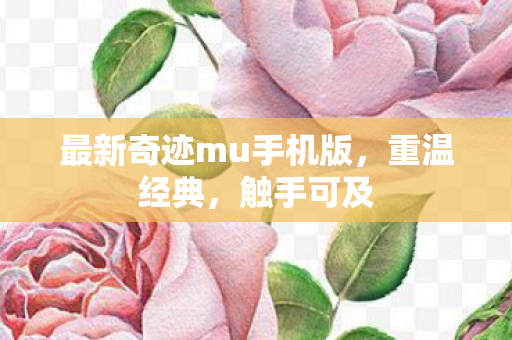 最新奇迹mu手机版,重温经典,触手可及 最新奇迹mu手机版,重温经典,触手可及