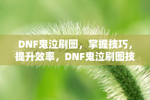 DNF鬼泣刷图技巧图片