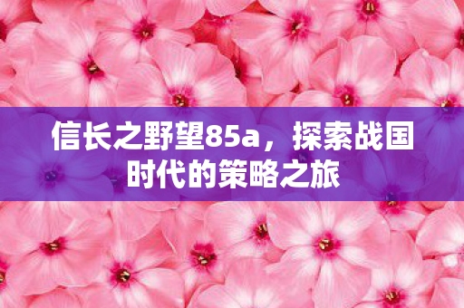 探索战国时代的策略之旅图片
