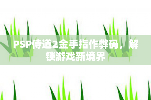 PSP侍道2金手指作弊码图片