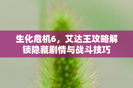 艾达王攻略解锁隐藏剧情与战斗技巧图片