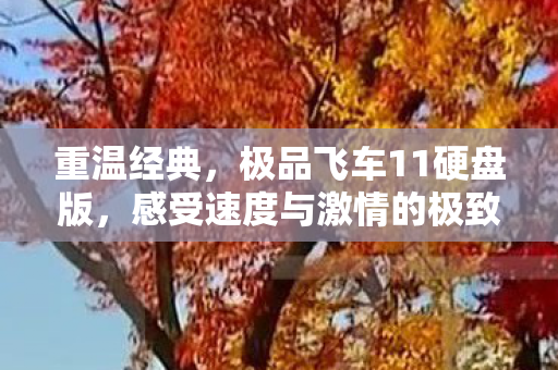 感受速度与激情的极致体验图片