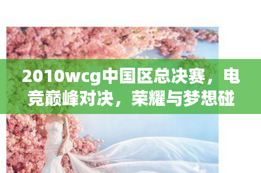 2010wcg中国区总决赛图片