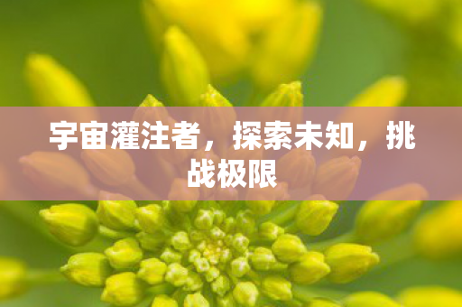 宇宙灌注者图片