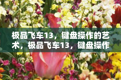 键盘操作的艺术图片