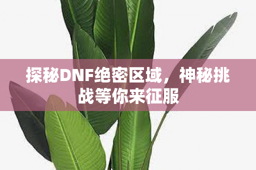 探秘DNF绝密区域,神秘挑战等你来征服 探秘DNF绝密区域,神秘挑战等你来征服