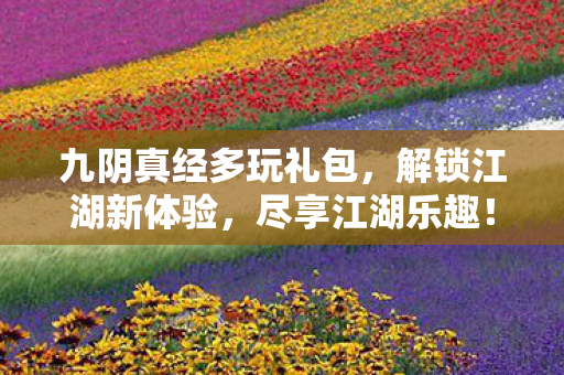 九阴真经多玩礼包图片