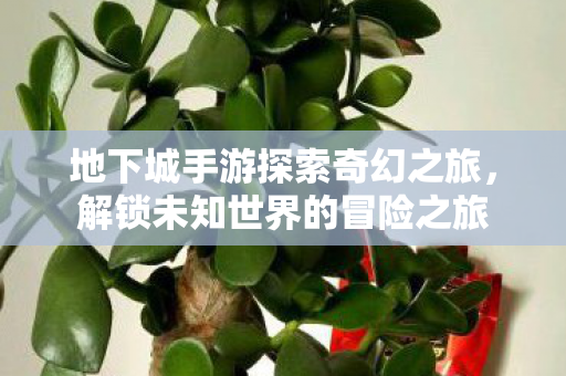 地下城手游探索奇幻之旅，解锁未知世界的冒险之旅