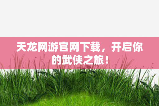 天龙网游官网下载图片