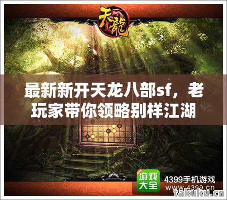 老玩家带你领略别样江湖天龙私服图片