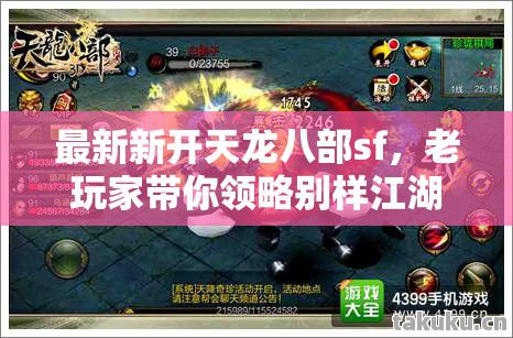 最新新开天龙八部sf，老玩家带你领略别样江湖天龙私服