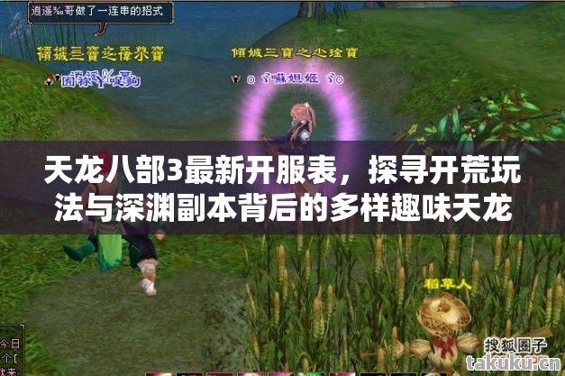 探寻开荒玩法与深渊副本背后的多样趣味天龙私服图片