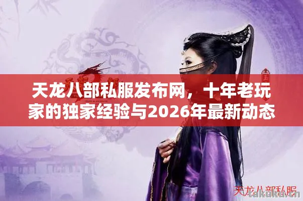 十年老玩家的独家经验与2026年最新动态揭秘天龙私服图片