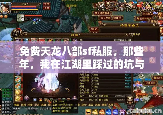 我在江湖里踩过的坑与摸出的招天龙八部私服图片