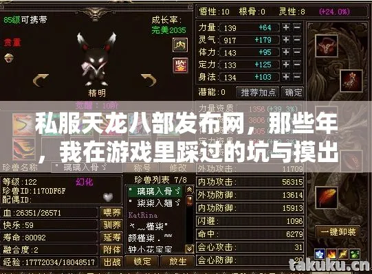 我在游戏里踩过的坑与摸出的野路子天龙私服图片