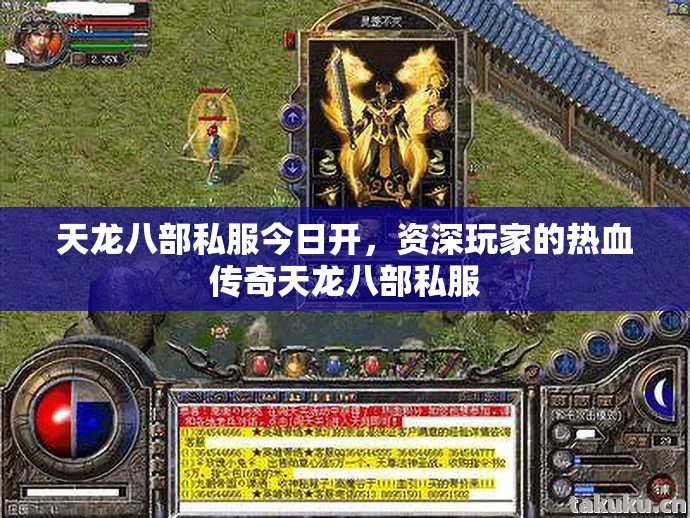 资深玩家的热血传奇天龙八部私服图片