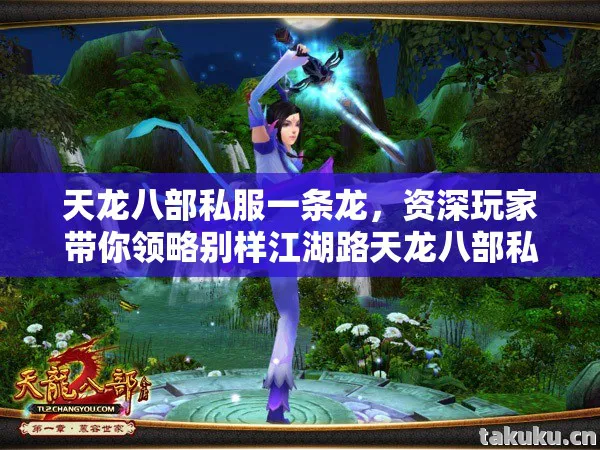 资深玩家带你领略别样江湖路天龙八部私服图片