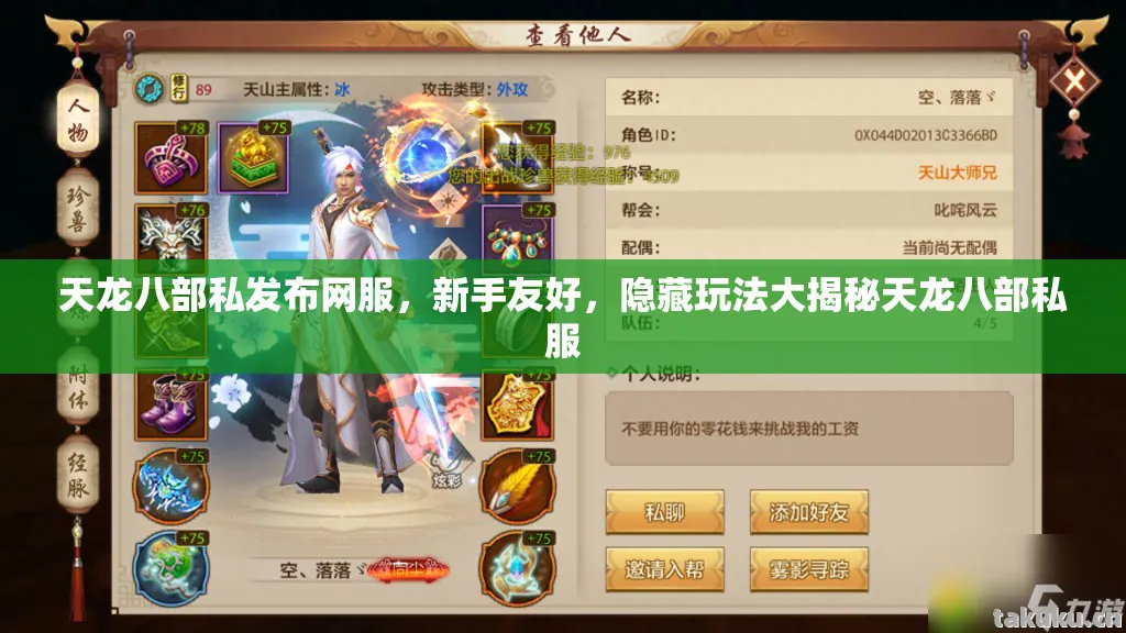 天龙八部私发布网服，新手友好，隐藏玩法大揭秘天龙八部私服